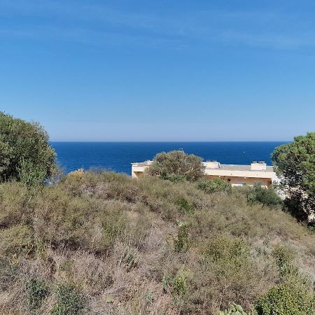 Appartement Avec Terrasse, Wifi, Parking Prive, A 2Min De La Plage Des Elmes - Banyuls-Sur-Mer - Fr-1-309-130 מראה חיצוני תמונה