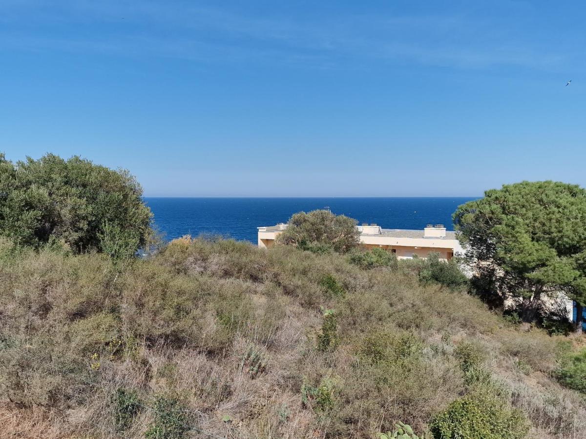 Appartement Avec Terrasse, Wifi, Parking Prive, A 2Min De La Plage Des Elmes - Banyuls-Sur-Mer - Fr-1-309-130 מראה חיצוני תמונה